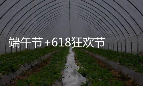 端午节遇上父亲节和618狂欢节