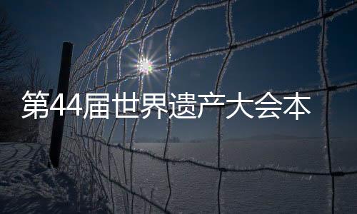 世界世界严承高介绍