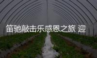 快排公司十年历程，霸屏兔 seo 的崛起与坚守