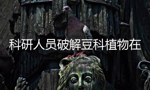 支持豆科祖先经历多倍化