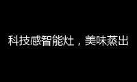 科技感智能灶
，美味蒸出来，健康看得见?