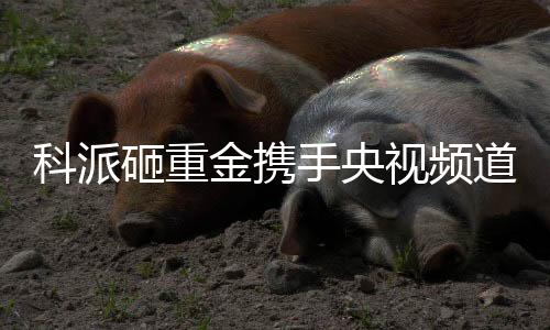 让品牌空间发展更大
