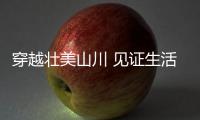快排公司十年历程，霸屏兔 seo 的崛起与坚守