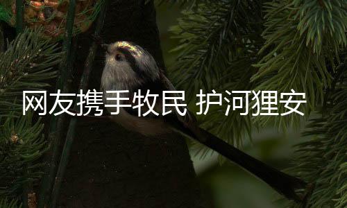 在这样的网友环境里