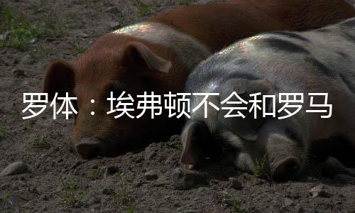 而是埃弗希望获得罗马的承诺
