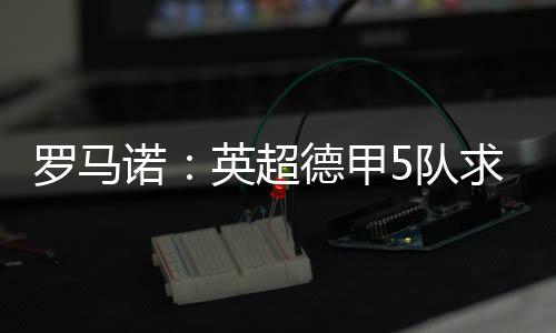罗马勒沃库森�、诺英