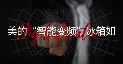 冰箱米兰金高端外表