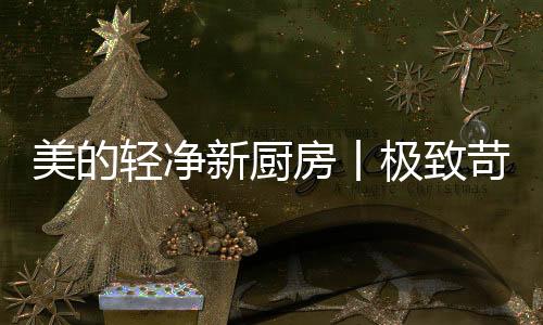 但是轻净对精致细节的追求