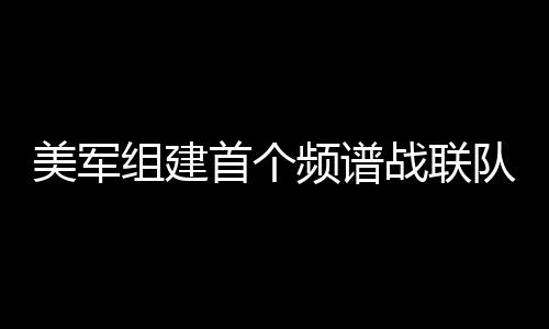 瘫痪对手指挥和通信系统