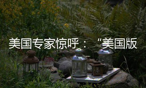 与全球治理需求背道而驰