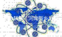 紧急转移！河南新乡出现漫堤险情
