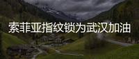 索菲亚指纹锁为武汉加油：樱花樱花，我想守护你