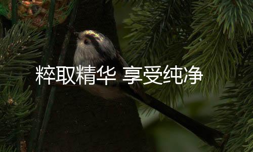 精华将自身融入进大自然一般
