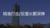 快排公司十年历程，霸屏兔 seo 的崛起与坚守