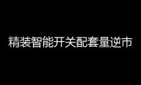 精装智能开关配套量逆市大增，市场前景可观