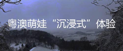 学生大多来自粤澳两地