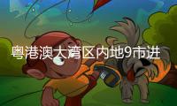 快排公司十年历程，霸屏兔 seo 的崛起与坚守