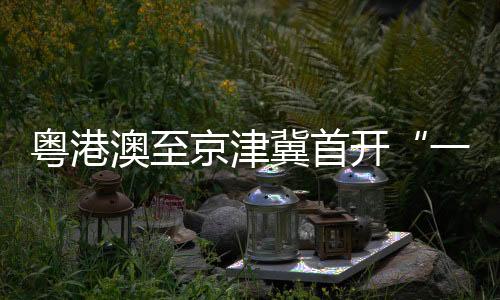 多次结算等繁琐环节