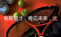 快排公司十年历程，霸屏兔 seo 的崛起与坚守