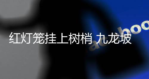 节日的氛围越来越浓了