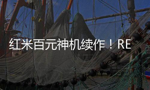 REDMI14C 4G跻身第八名