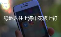快排公司十年历程，霸屏兔 seo 的崛起与坚守