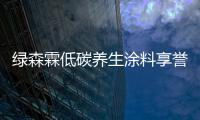 快排公司十年历程，霸屏兔 seo 的崛起与坚守