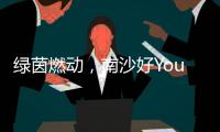 绿茵燃动，南沙好Young! 2025“百年名校杯”今日开幕