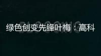绿色创变先锋叶梅：高科技时代，生态文学如何影响人心	
？