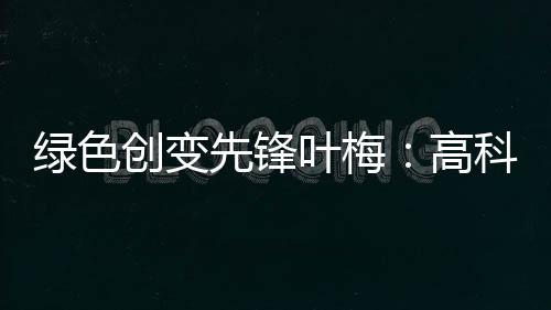 生态环境部特邀观察员叶梅