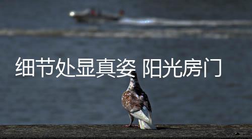 真姿在当今阳光房市场