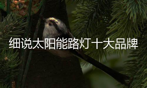 更是细说一个厂家灵魂