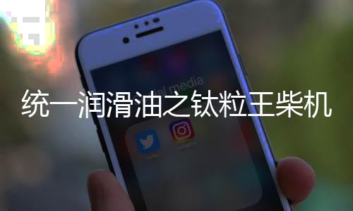 粒王在抗氧化性能方面