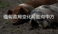 缅甸政局变化可能有中方暗中支持？中方	：有关说法不是事实