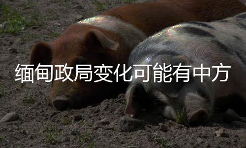 有关说法不是缅甸事实