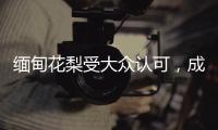 缅甸花梨受大众认可，成为红木界的“新贵”!