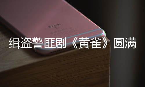 让观众觉得可怜又可叹