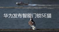 华为发布智能门锁SE猫眼版�，不仅“便捷”还要“安全”