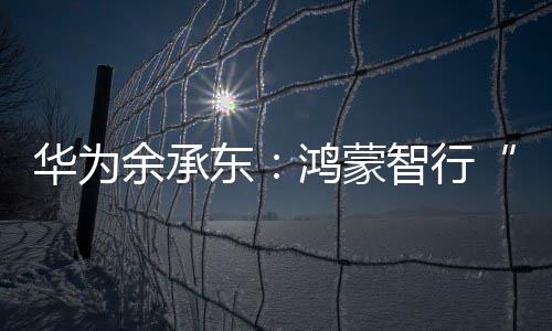 五界享界）发布车标