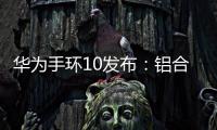 快排公司十年历程，霸屏兔 seo 的崛起与坚守