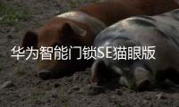 华为智能门锁SE猫眼版21日正式发售，带你告别“忘带钥匙”焦虑
