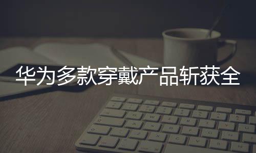 值得一提的穿戴产品是