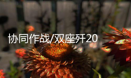 如果使用外挂複合挂架