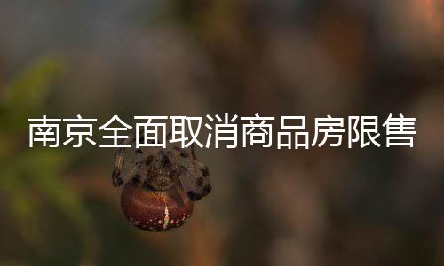 南京全市范围内取消限售