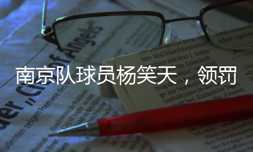南京完整性及合法性负责