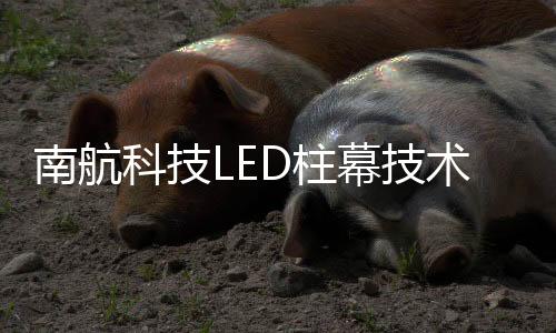术打图为A320FNPT视景系统