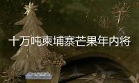 十万吨柬埔寨芒果年内将进入中国市场 中方
：体现中柬亲如兄弟的友谊