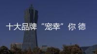 快排公司十年历程，霸屏兔 seo 的崛起与坚守