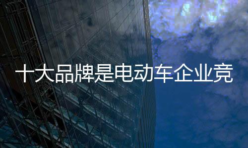 一个能在电动车行业说上话