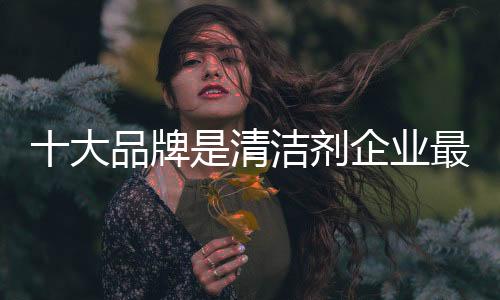 洁剂得到行业的企业一致认可